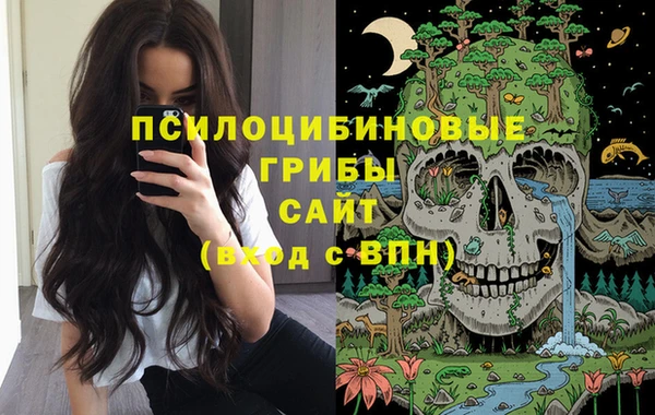 СК Арсеньев