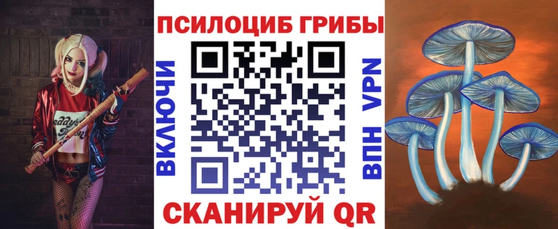 наркота  Дюртюли  Галлюциногенные грибы Psilocybine cubensis 